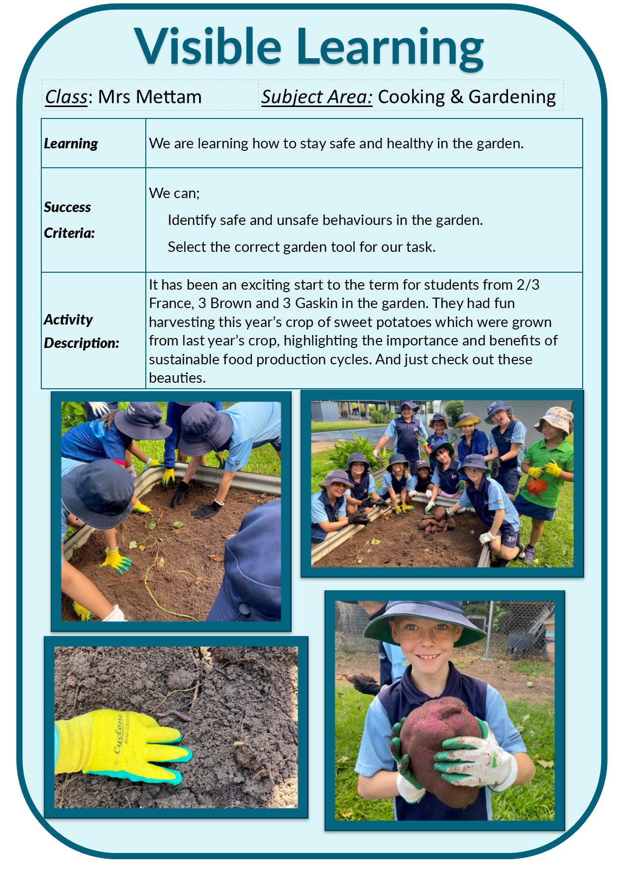 Visible Learning 2024/VL Cooking & Gardening T4.jpg